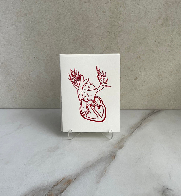 Set of 10, Anatomical Heart Letterpress Folded Cards with Envelopes. Boxed card set. - Hearty Greetings
