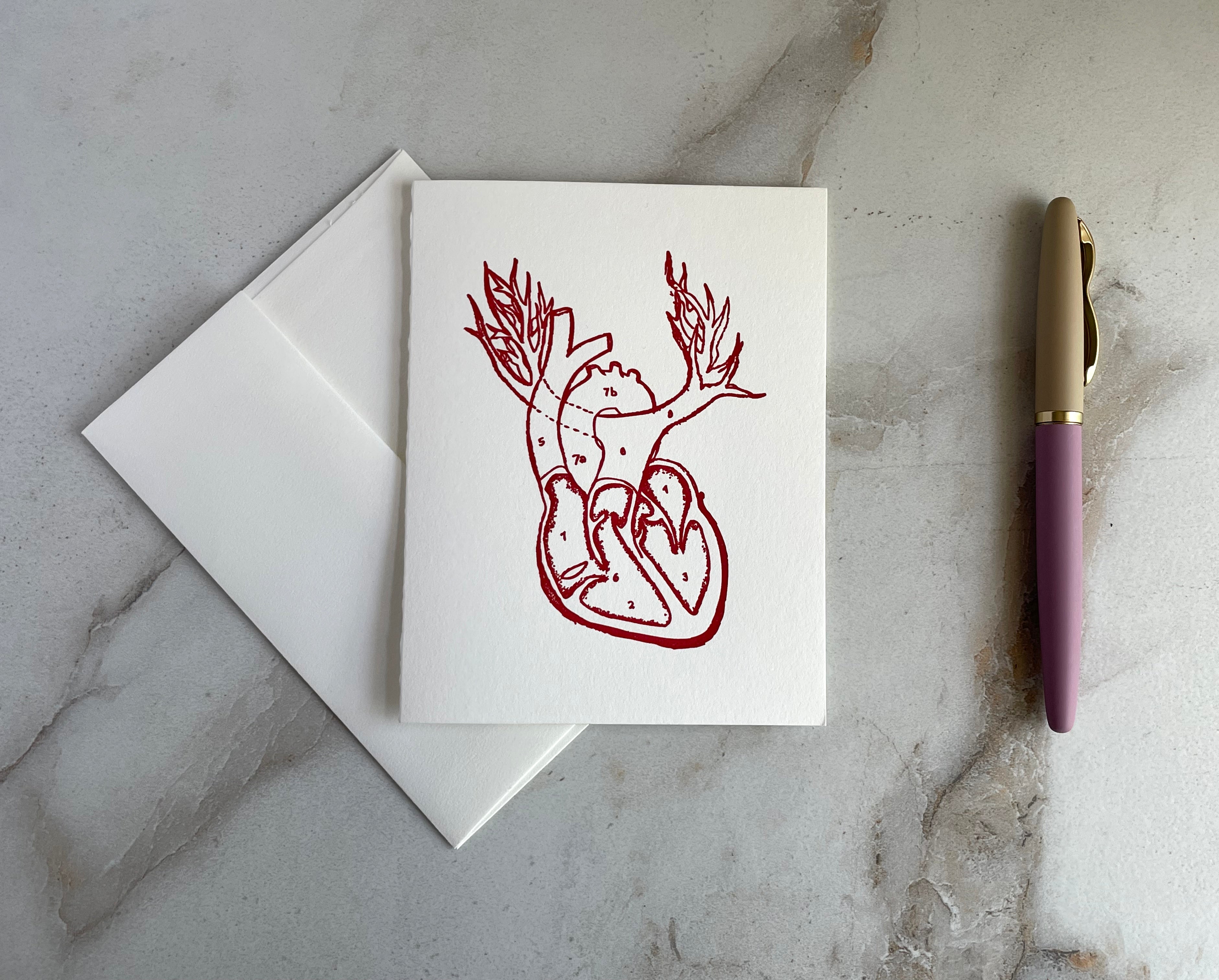 Letterpress Printed Anatomical Heart Folded Card with Envelope. - Hearty Greetings