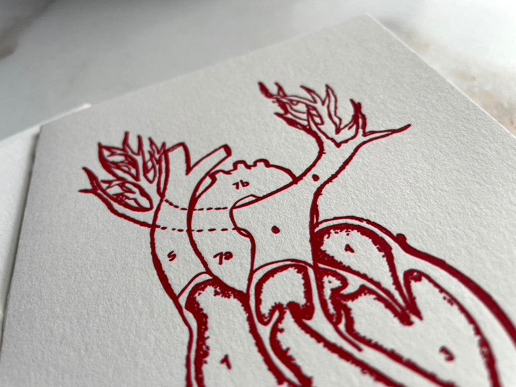 Letterpress Printed Anatomical Heart Folded Card with Envelope. - Hearty Greetings