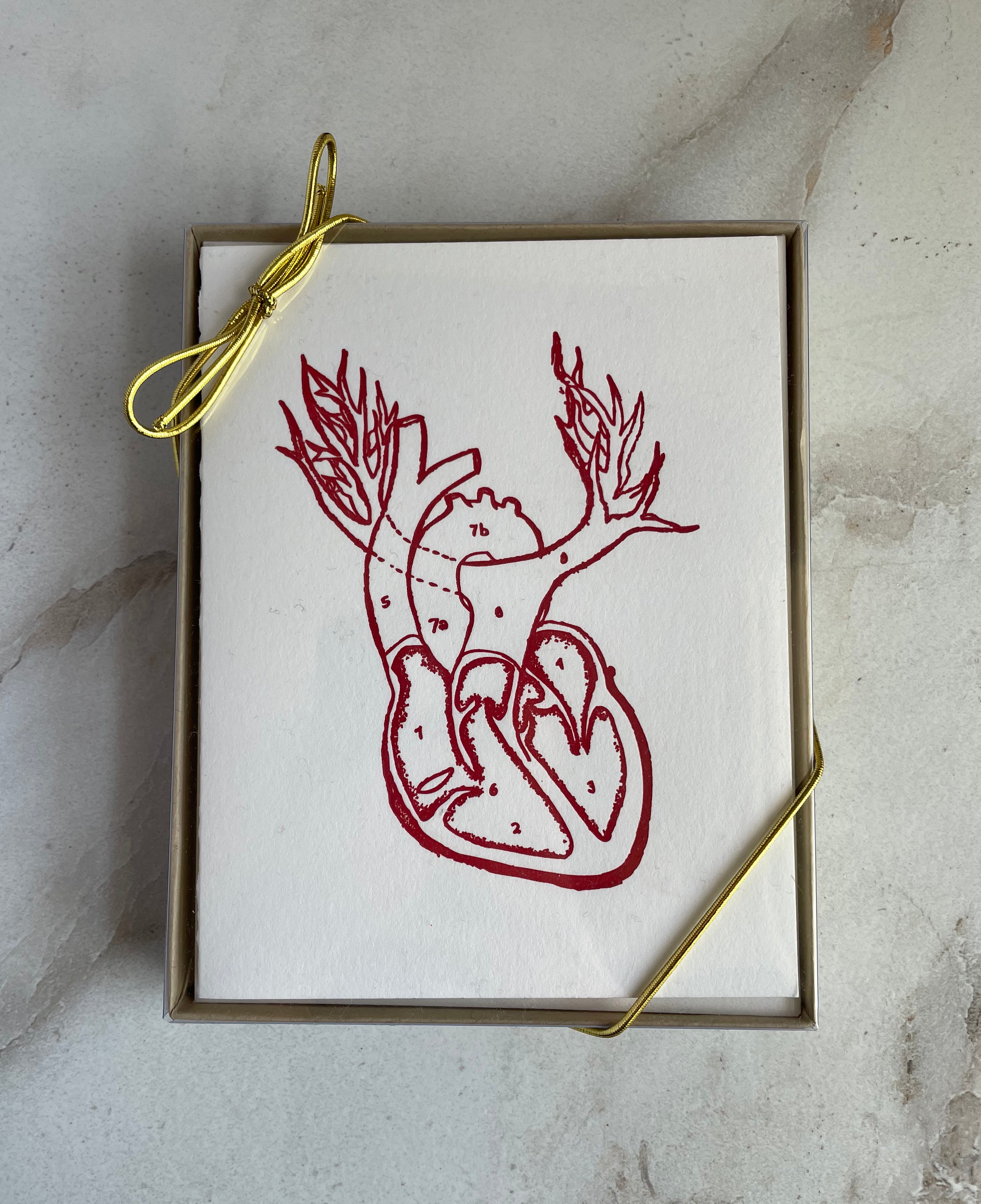 Set of 10, Anatomical Heart Letterpress Folded Cards with Envelopes. Boxed card set. - Hearty Greetings