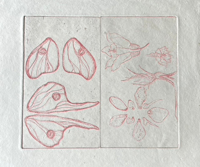 Unique Metal Etching