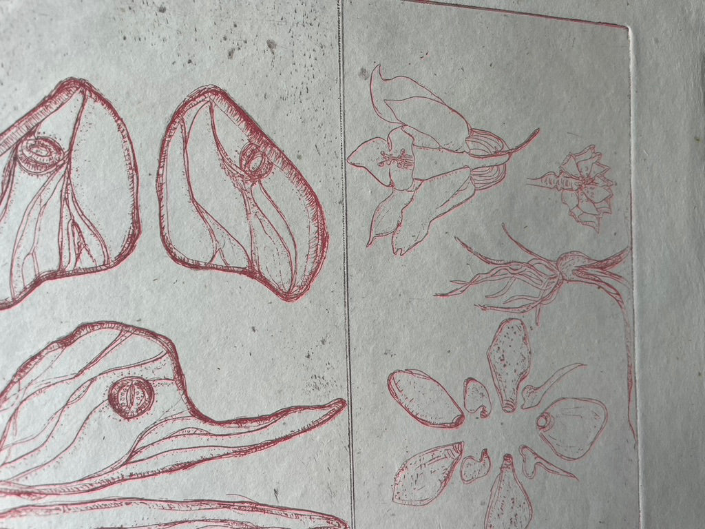 Scientific Art Print